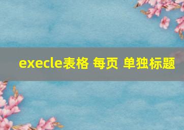 execle表格 每页 单独标题